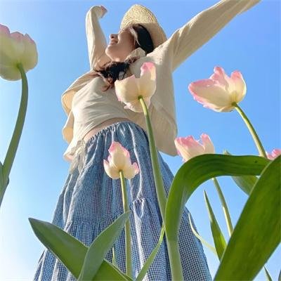 蜘蛛与郁金香